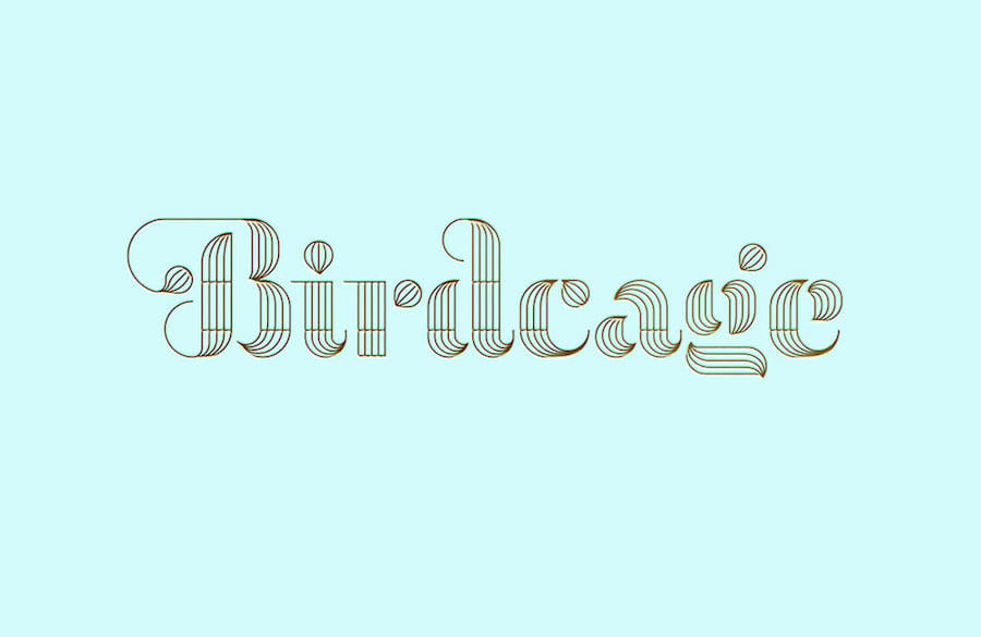 The Birdcage Boutique image